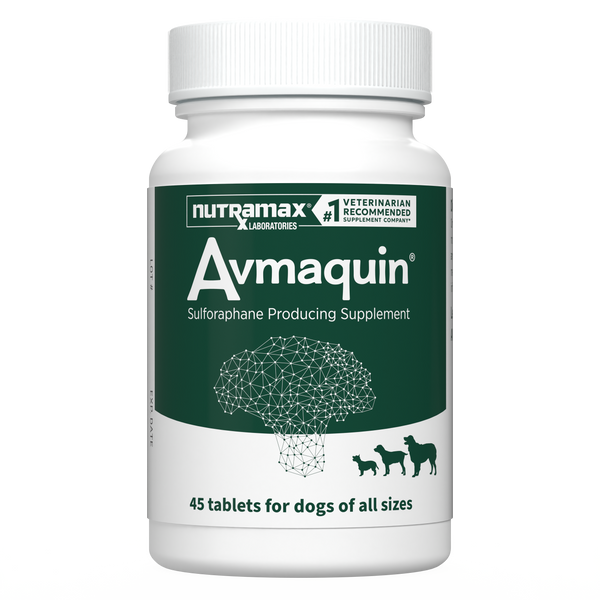 avmaquin chewable tablet bottle