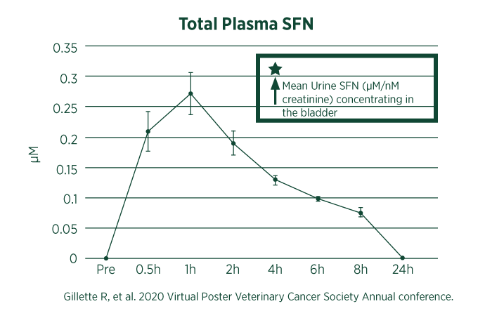 total plasma sfn chart