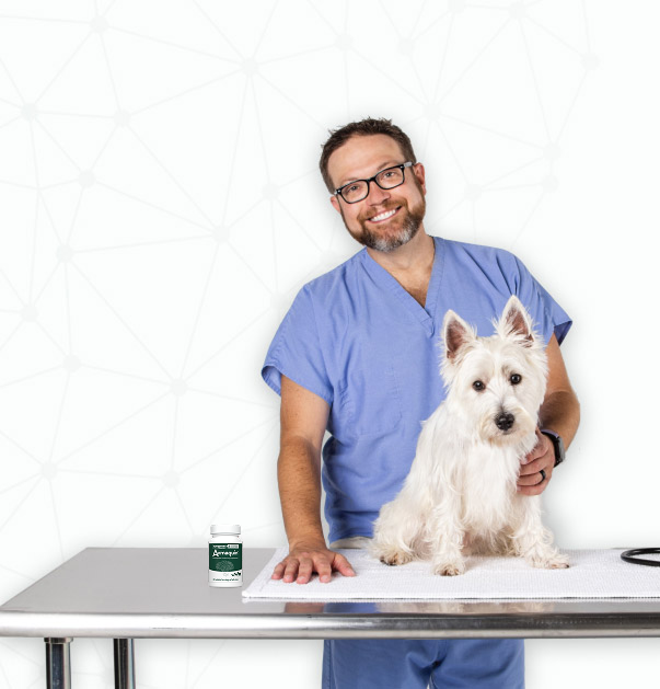 vet with terrier on table